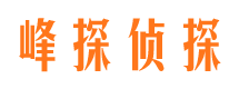 西林市侦探调查公司